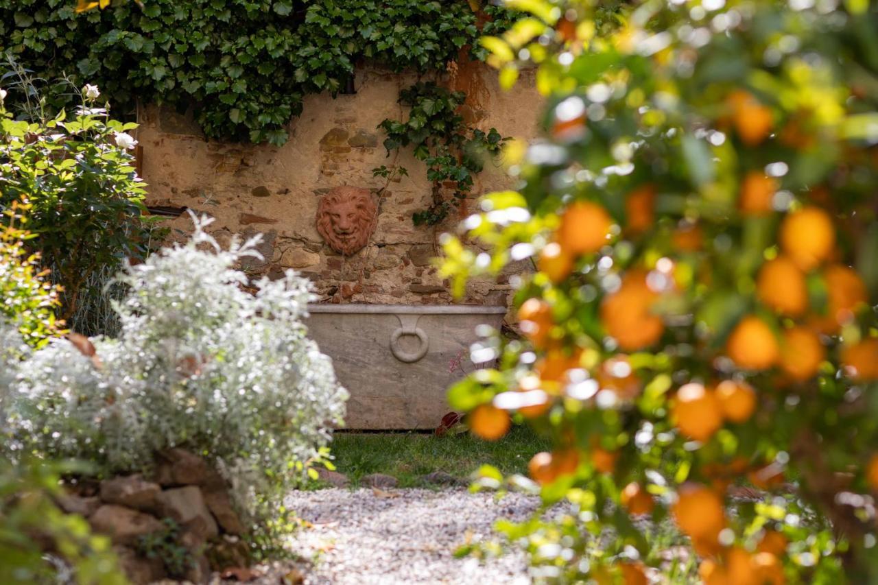 Secret Garden Firenze B&B المظهر الخارجي الصورة