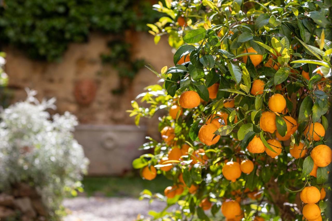 Secret Garden Firenze B&B المظهر الخارجي الصورة