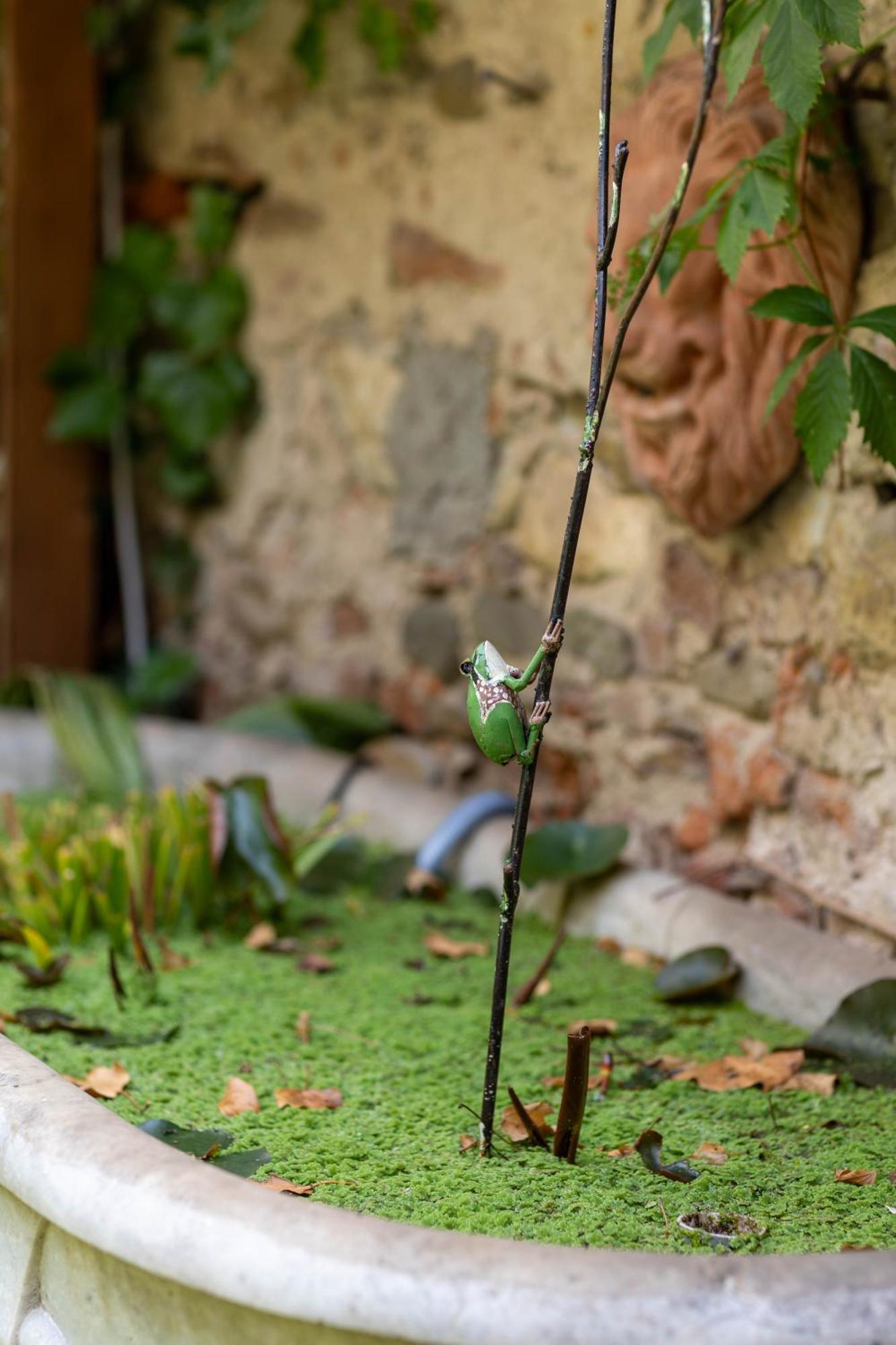 Secret Garden Firenze B&B المظهر الخارجي الصورة